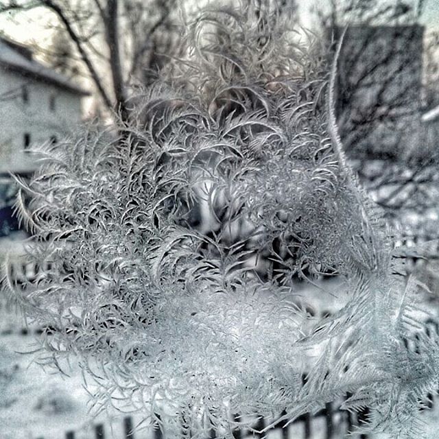 Картинки