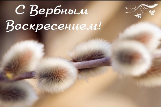 Вербное Воскресенье 2017: картинки