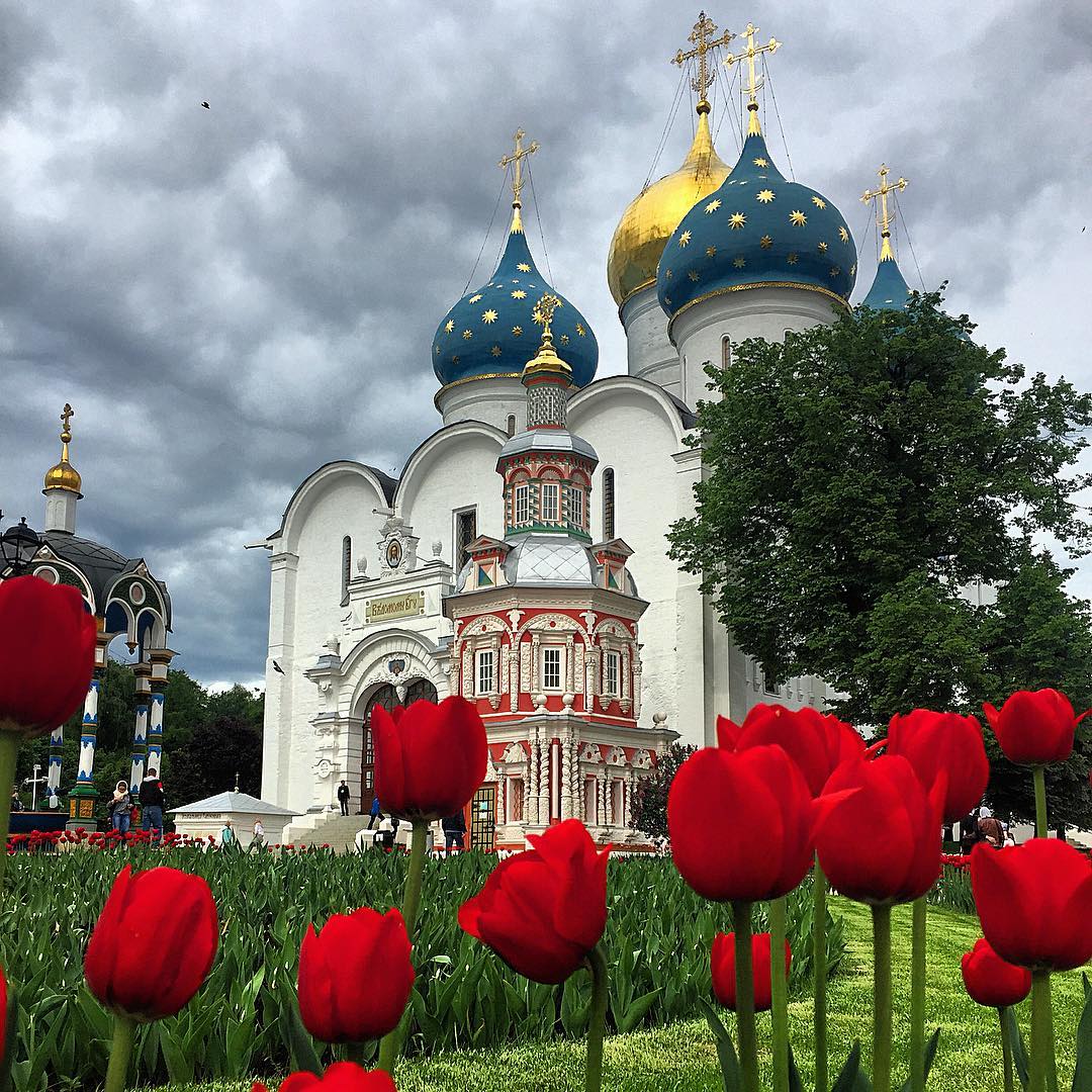 Картинка