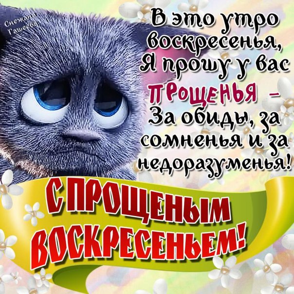 Открытка
