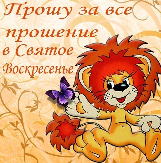Прикольные картинки на Прощёное Воскресенье 2017